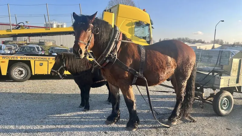 A vehicle sourced by NOMAD enroute